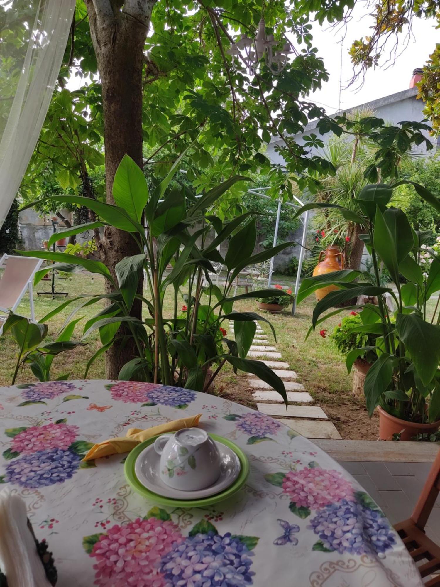 Tollo Villa Carol Appartamento E B&B חדר תמונה