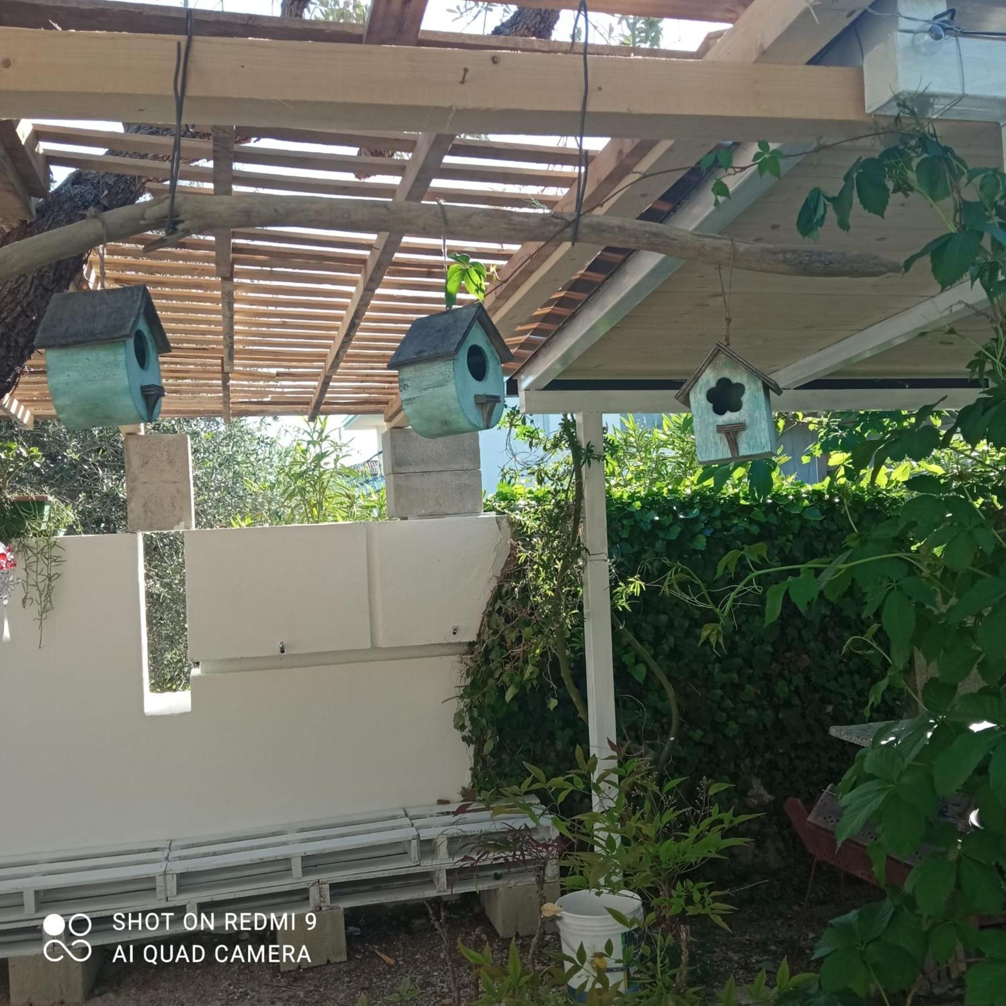 Tollo Villa Carol Appartamento E B&B מראה חיצוני תמונה