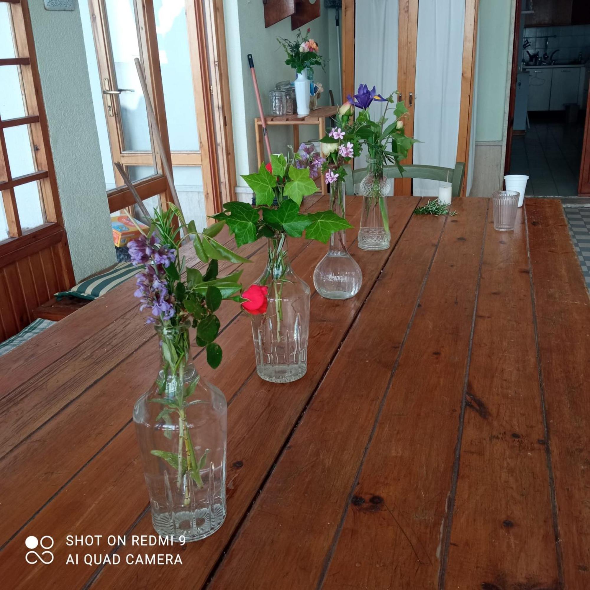 Tollo Villa Carol Appartamento E B&B מראה חיצוני תמונה